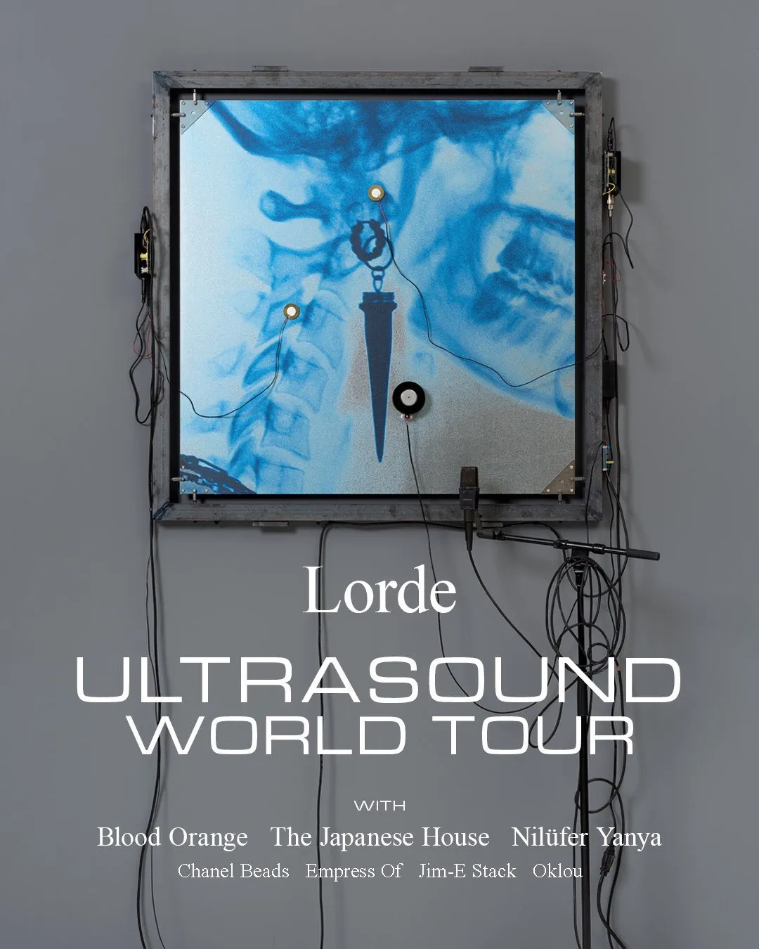 Concert poster for lorde