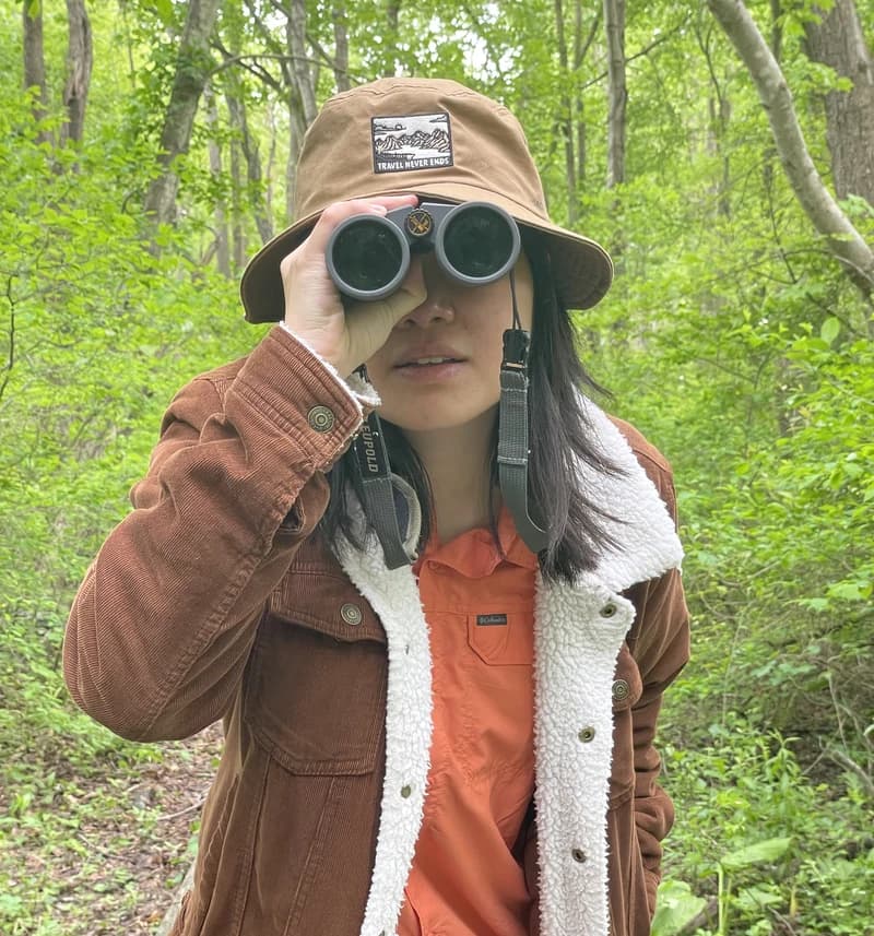 Investigating